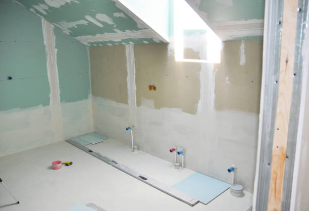 Forensic Mold Investigation in Boston, MA