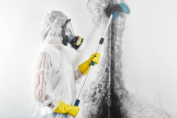 Best Post-Remediation Verification Testing  in Boston, MA