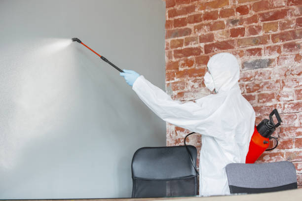 Best Real Estate Mold Inspection  in Boston, MA