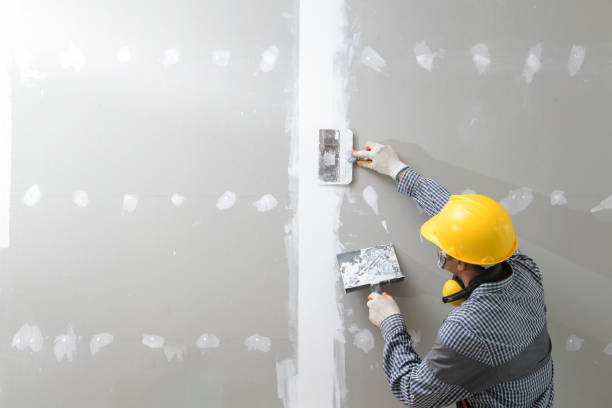 Best Mold Removal for HVAC Installations  in Boston, MA