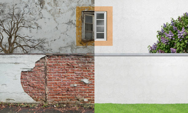 Best Mold Damage Restoration  in Boston, MA